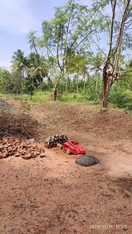 Arulmigu Ayyanar Temple, Thirumalnatham - 625214 அருள்மிகு அய்யனார் திருக்கோயில், Thirumalnatham, Thirumalnatham - 625214, Madurai - Ancient Temple Architecture and History Image 3