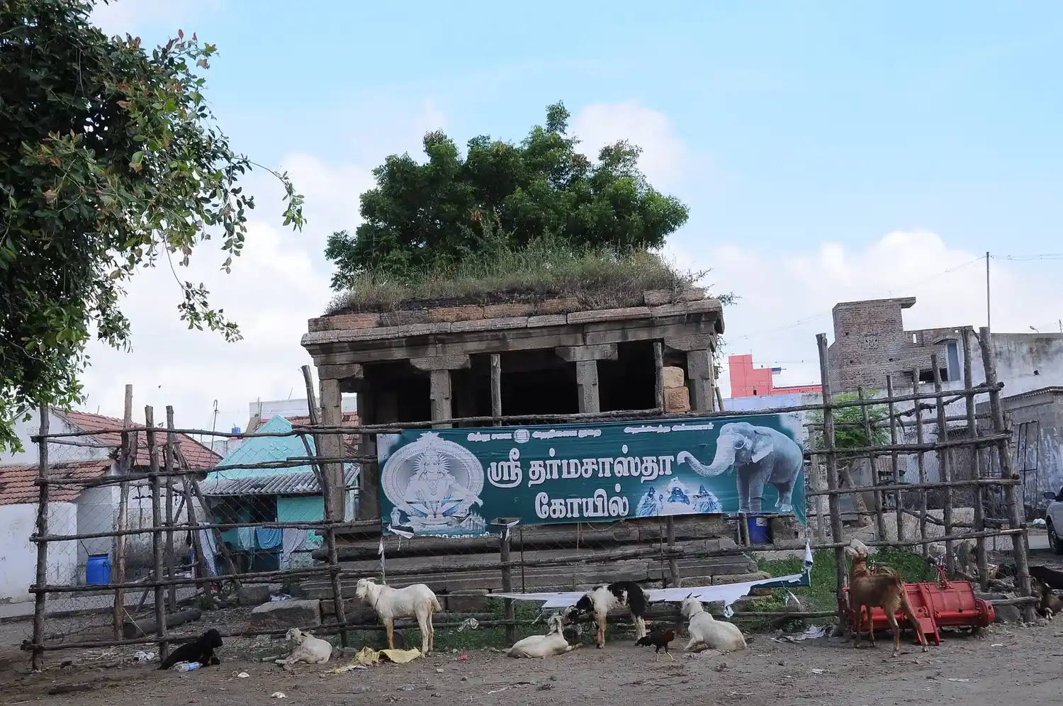 Arulmigu Ayyanar Temple, Thirupattur - 621105 Arulmigu Ayyanar Temple, Thirupattur - 621105, Thiruchirappalli - Ancient Temple Architecture and History Image 3