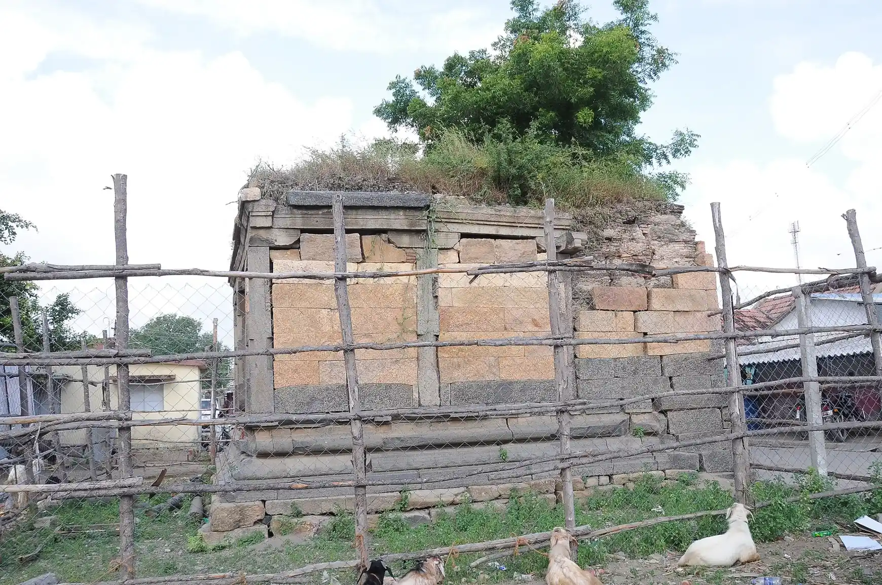 Arulmigu Ayyanar Temple, Thirupattur - 621105 Arulmigu Ayyanar Temple, Thirupattur - 621105, Thiruchirappalli - Ancient Temple Architecture and History Image 4