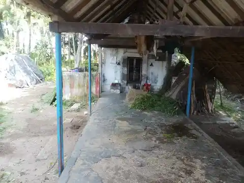 Arulmigu Ayyanar Temple, Thiruvaiyaru - 613204