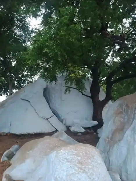Arulmigu Ayyanar Temple, Thiruvalarsolai - 620005
