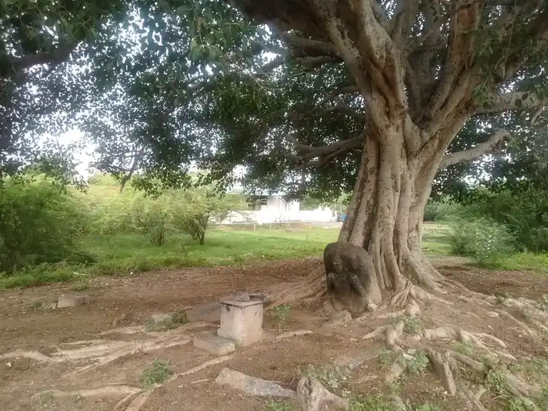 Arulmigu Ayyanar Temple, Thiruverumbur - 620013 Arulmigu Ayyanar Temple, திருவெறும்பூர் - 620013, Thiruchirappalli - Ancient Temple Architecture and History Image 7