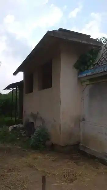 Arulmigu Ayyanar Temple, Thiruvilayattam - 609306 அருள்மிகு அய்யனார் திருக்கோயில், திருவிளையாட்டம் - 609306, Mayiladuthurai - Ancient Temple Architecture and History Image 4