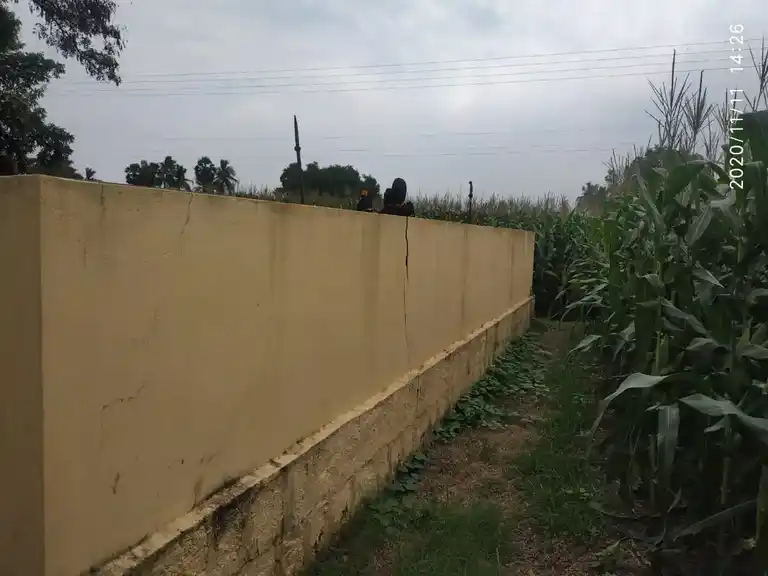 Arulmigu Ayyanar Temple, Thondapadi - 621116 Arulmigu Ayyanar Temple, Thondapadi - 621116, Perambalur - Ancient Temple Architecture and History Image 3