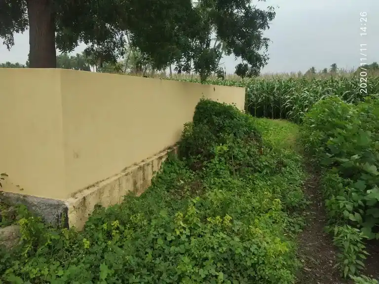 Arulmigu Ayyanar Temple, Thondapadi - 621116 Arulmigu Ayyanar Temple, Thondapadi - 621116, Perambalur - Ancient Temple Architecture and History Image 4