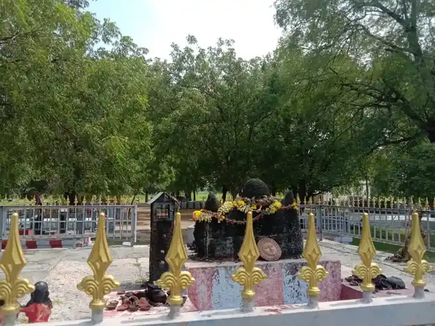 Arulmigu Ayyanar Temple, Thrali - 625706