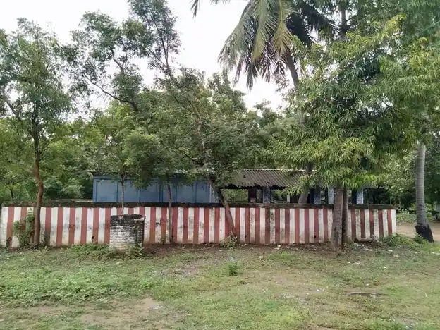 Arulmigu Ayyanar Temple, Thukili - 612106