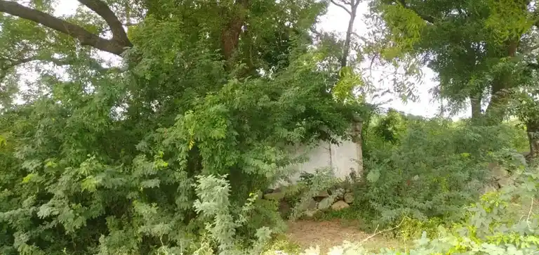 Arulmigu Ayyanar Temple, Tittacheri - 636116 அருள்மிகு அய்யனார் திருக்கோயில், Tittacheri - 636116, Salem - Ancient Temple Architecture and History Image 2