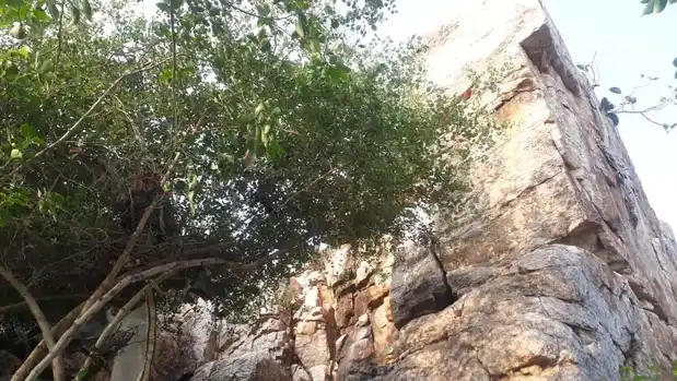 Arulmigu Ayyanar Temple, Uthupatti - 628503