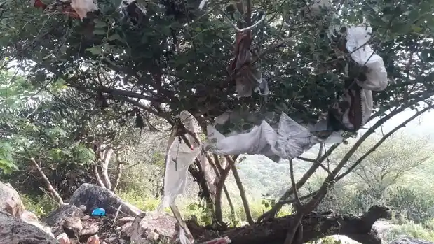 Arulmigu Ayyanar Temple, Uthupatti - 628503 அருள்மிகு அய்யனார் திருக்கோயில், Uthupatti - 628503, Thoothukudi - Ancient Temple Architecture and History Image 3