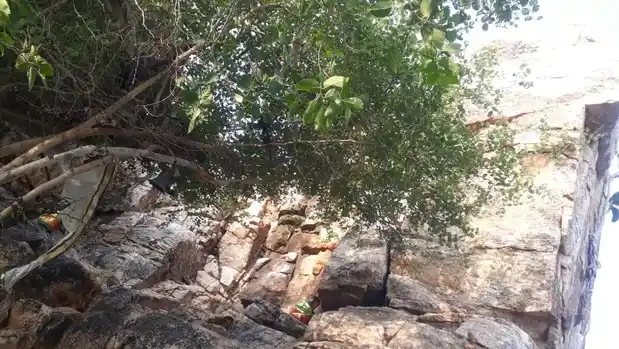 Arulmigu Ayyanar Temple, Uthupatti - 628503 அருள்மிகு அய்யனார் திருக்கோயில், Uthupatti - 628503, Thoothukudi - Ancient Temple Architecture and History Image 7