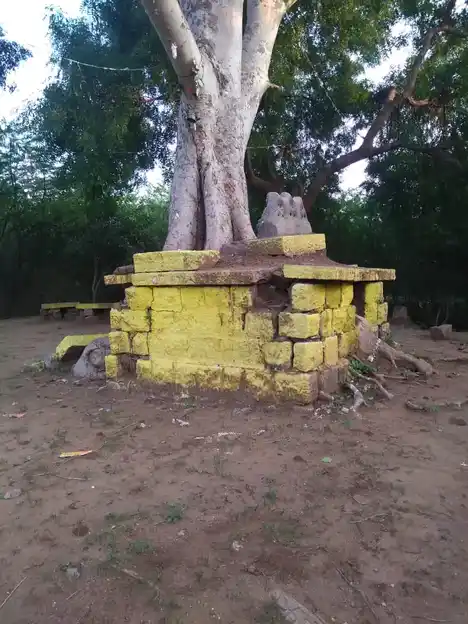 Arulmigu Ayyanar Temple, V. Elavankulam - 625501 அருள்மிகு அய்யனார் திருக்கோயில், வ. இளவன்குளம் - 625501, Madurai - Ancient Temple Architecture and History Image 4