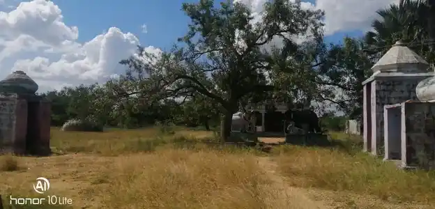 Arulmigu Ayyanar Temple, Vadagadu - 622004