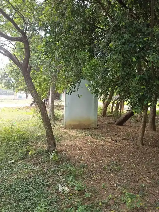 Arulmigu Ayyanar Temple, Vadakadal - 621704 அருள்மிகு அய்யனார் திருக்கோயில், வடகடல் - 621704, Ariyalur - Ancient Temple Architecture and History Image 7