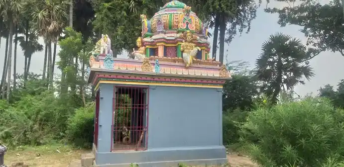 Arulmigu Ayyanar Temple, Vadakalvarisaipathu, Edamanal - 609113 Temple
