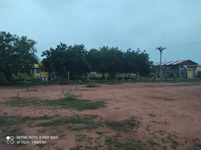 Arulmigu Ayyanar Temple, Vadapalanci - 625021