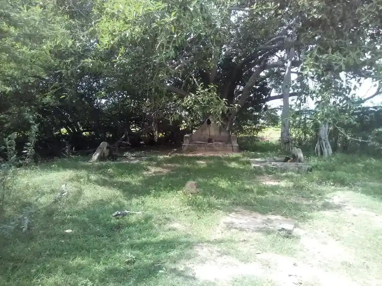 Arulmigu Ayyanar Temple, Vadavayal - 614618