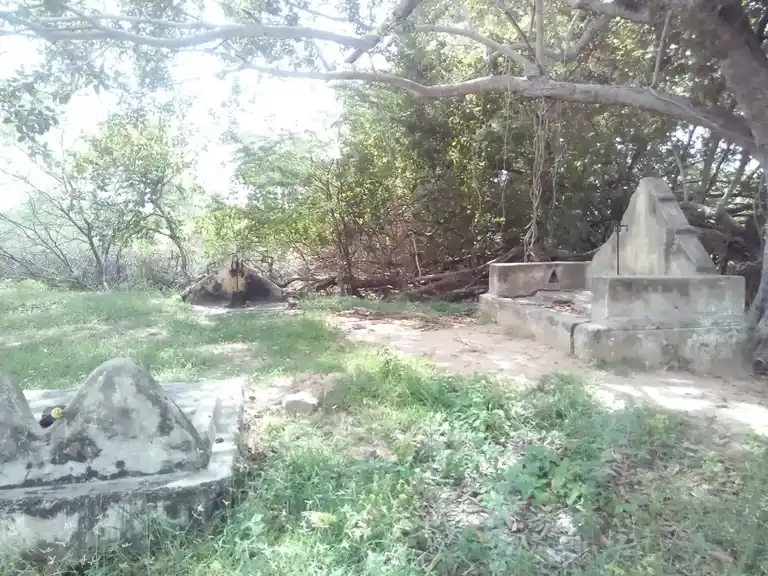 Arulmigu Ayyanar Temple, Vadavayal - 614618 அருள்மிகு அய்யனார் திருக்கோயில், Vadavayal - 614618, Pudukkottai - Ancient Temple Architecture and History Image 2