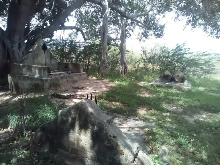 Arulmigu Ayyanar Temple, Vadavayal - 614618 அருள்மிகு அய்யனார் திருக்கோயில், Vadavayal - 614618, Pudukkottai - Ancient Temple Architecture and History Image 4