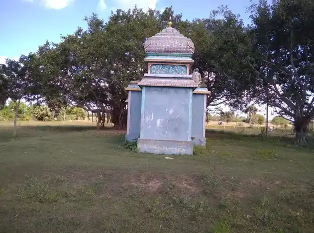 Arulmigu Ayyanar Temple, Vadaveekkam - 621803 Temple