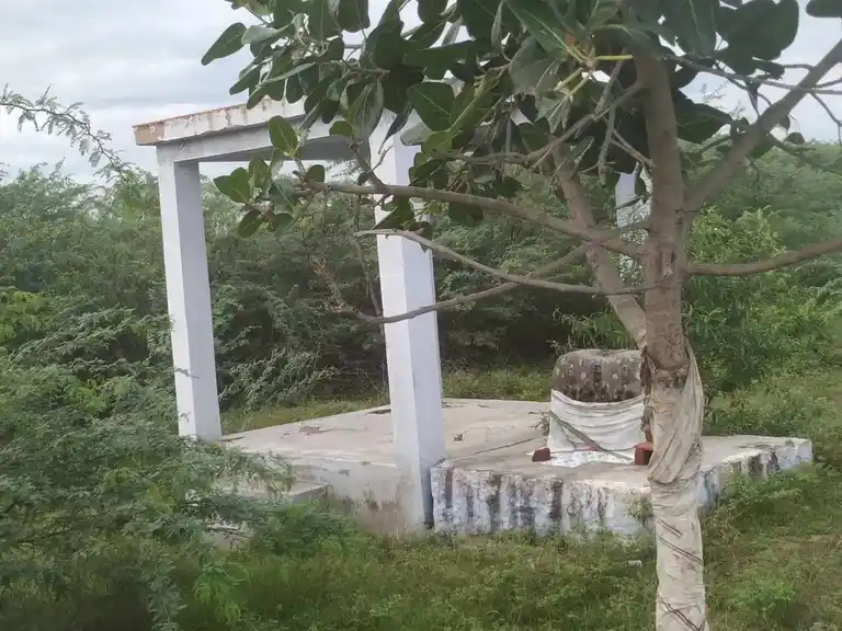 Arulmigu Ayyanar Temple, Vaiyur - 625703 Arulmigu Ayyanar Temple, Vaiyur - 625703, Madurai - Ancient Temple Architecture and History Image 3