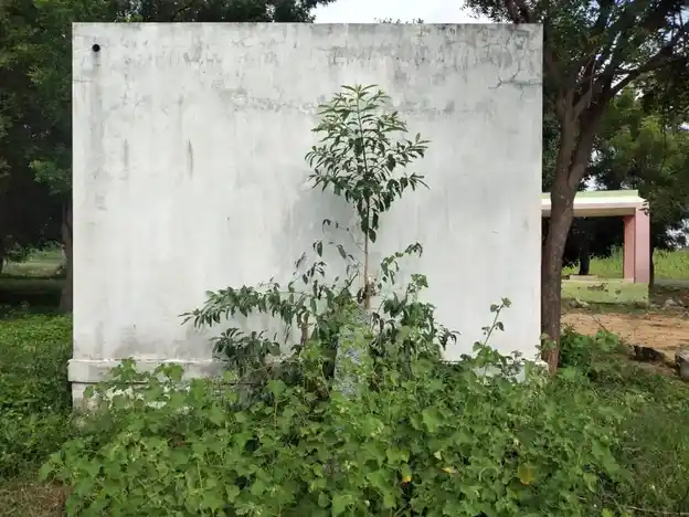 Arulmigu Ayyanar Temple, Valayapatti - 625022 அய்யனார் திருக்கோயில், Valayapatti - 625022, Madurai - Ancient Temple Architecture and History Image 4
