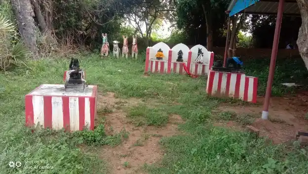 Arulmigu Ayyanar Temple, Vaniyankudi - 630561 Temple