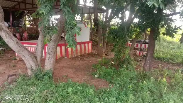 Arulmigu Ayyanar Temple, Vaniyankudi - 630561 அருள்மிகு அய்யனார் திருக்கோயில்,  - 630561, Sivagangai - Ancient Temple Architecture and History Image 3