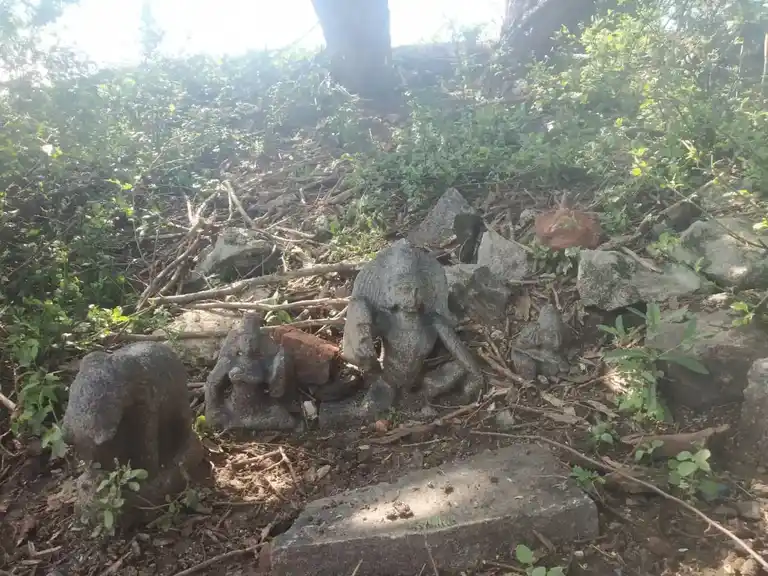 Arulmigu Ayyanar Temple, Vannankulam - 625706