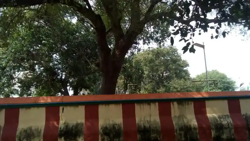 Arulmigu Ayyanar Temple, Vayalapadi - 621716 அருள்மிகு அய்யனார் திருக்கோயில், Vayalapadi - 621716, Perambalur - Ancient Temple Architecture and History Image 3