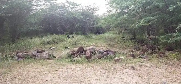 Arulmigu Ayyanar Temple, Vellakkalpatti - 621007