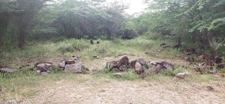 Arulmigu Ayyanar Temple, Vellakkalpatti - 621007 Arulmigu Ayyanar Temple, Vellakkalpatti - 621007, Thiruchirappalli - Ancient Temple Architecture and History Image 3