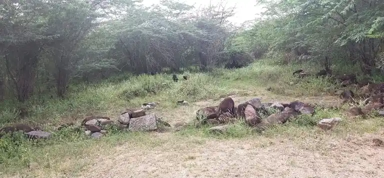 Arulmigu Ayyanar Temple, Vellakkalpatti - 621007 Arulmigu Ayyanar Temple, Vellakkalpatti - 621007, Thiruchirappalli - Ancient Temple Architecture and History Image 4
