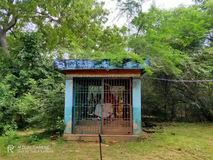 Arulmigu Ayyanar Temple, Vellur - 608302