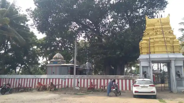 Arulmigu Ayyanar Temple, Venganoor - 621851 Arulmigu Ayyanar Temple, Venganoor - 621851, Ariyalur - Ancient Temple Architecture and History Image 3