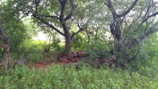 Arulmigu Ayyanar Temple, Veppankuzhi - 621653 Arulmigu Ayyanar Temple,  - 621653, Ariyalur - Ancient Temple Architecture and History Image 2