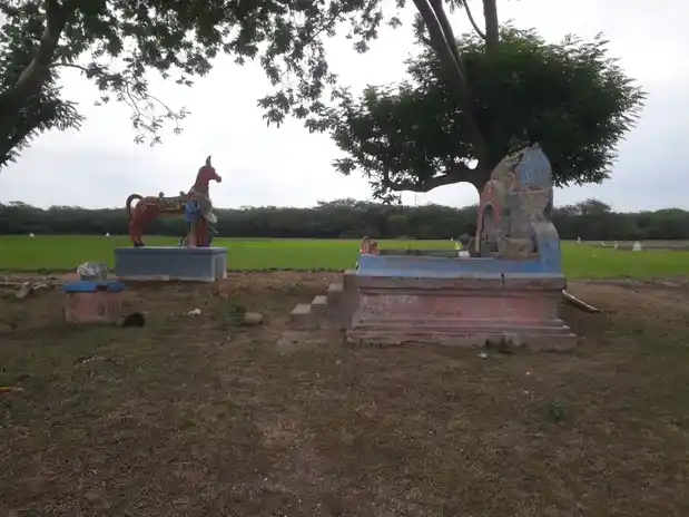 Arulmigu Ayyanar Temple, Vettakudi - 621715 Temple