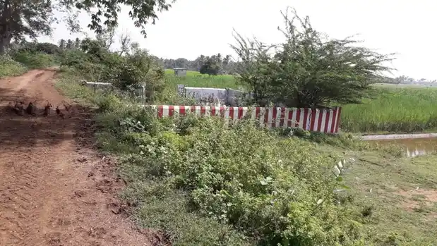 Arulmigu Ayyanar Temple, Vittankulam - 625402 அய்யனார்கோயில் விட்டாங்குளம், மதுரை வடக்கு கோயில், Vittankulam - 625402, Madurai - Ancient Temple Architecture and History Image 2