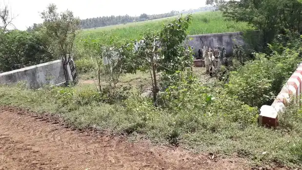 Arulmigu Ayyanar Temple, Vittankulam - 625402 அய்யனார்கோயில் விட்டாங்குளம், மதுரை வடக்கு கோயில், Vittankulam - 625402, Madurai - Ancient Temple Architecture and History Image 3