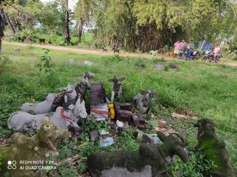 Arulmigu Ayyanar Veeranar Temple, Nagampanthal, Ariyalur - 608901 Temple