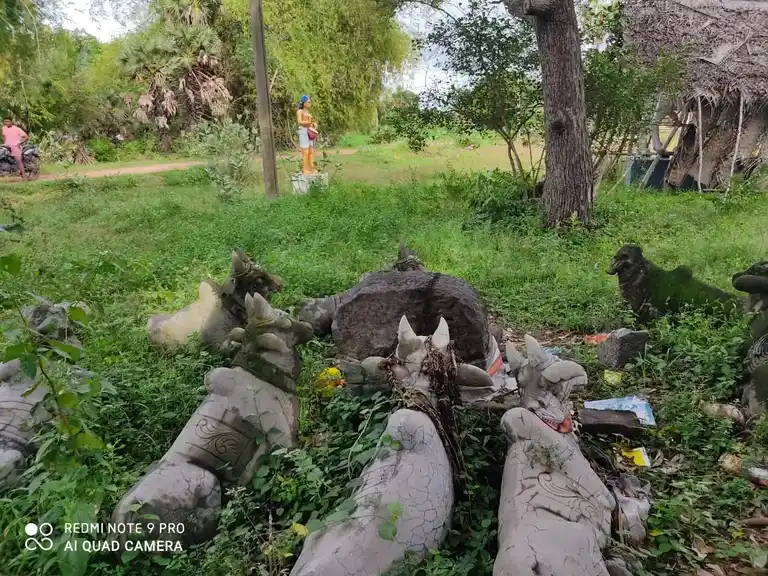 Arulmigu Ayyanar Veeranar Temple, Nagampanthal, Ariyalur - 608901 Arulmigu Ayyanar Veeranar Temple,  - 608901, Ariyalur - Ancient Temple Architecture and History Image 4