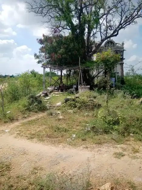 Arulmigu Ayyanarappan Temple, Sarkar Periyapalayam - 641607 அருள்மிகு அய்யனாரப்பன் திருக்கோயில், Sarkar Periyapalayam - 641607, Tiruppur - Ancient Temple Architecture and History Image 4