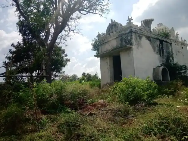 Arulmigu Ayyanarappan Temple, Sarkar Periyapalayam - 641607 அருள்மிகு அய்யனாரப்பன் திருக்கோயில், Sarkar Periyapalayam - 641607, Tiruppur - Ancient Temple Architecture and History Image 5