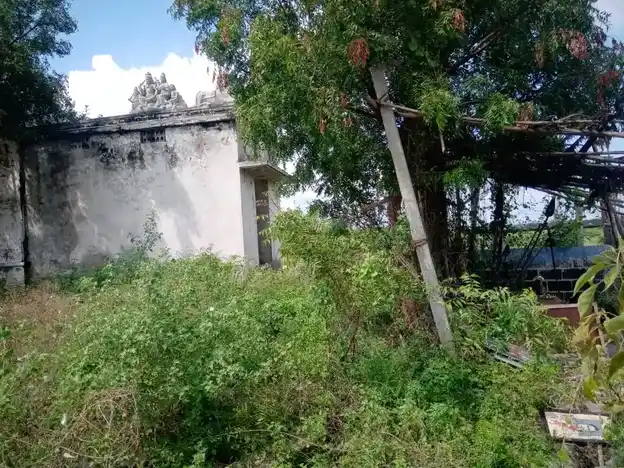 Arulmigu Ayyanarappan Temple, Sarkar Periyapalayam - 641607 அருள்மிகு அய்யனாரப்பன் திருக்கோயில், Sarkar Periyapalayam - 641607, Tiruppur - Ancient Temple Architecture and History Image 6