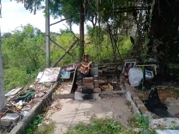 Arulmigu Ayyanarappan Temple, Sarkar Periyapalayam - 641607 அருள்மிகு அய்யனாரப்பன் திருக்கோயில், Sarkar Periyapalayam - 641607, Tiruppur - Ancient Temple Architecture and History Image 7