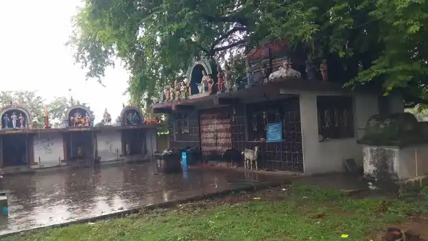 Arulmigu Ayyanarsami Temple, Velipiringiyam - 621704 Temple