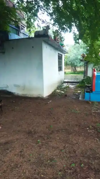 Arulmigu Ayyanarsami Temple, Velipiringiyam - 621704 Arulmigu Ayyanarsami Temple,  - 621704, Ariyalur - Ancient Temple Architecture and History Image 2