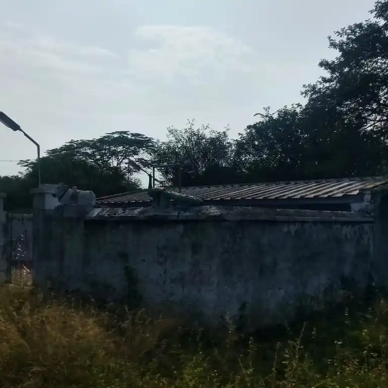Arulmigu Ayyanarswamy Temple, Rasagoundanpalayam, Rasagoundanpalayam - 638052 Temple