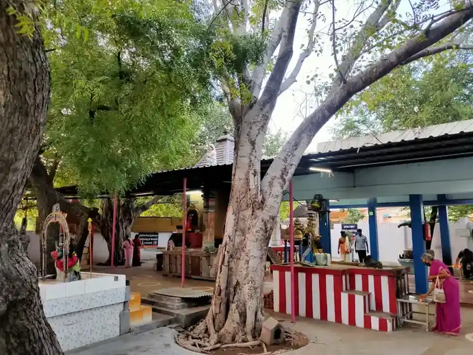 Arulmigu Ayyappan Temple, Thallakulam, Thallakulam - 625002 அருள்மிகு ஐயப்பன் திருக்கோவில், தல்லாகுளம், தல்லாகுளம் - 625002, Madurai - Ancient Temple Architecture and History Image 3