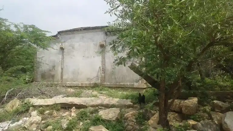 Arulmigu Ayyappasamy Temple, Kappulingampatti - 628952 அருள்மிகு அய்யப்பசாமி திருக்கோயில், Kappulingampatti - 628952, Thoothukudi - Ancient Temple Architecture and History Image 2